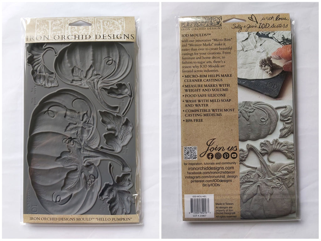 Iron Orchid Design Hello Pumpkin 6×10 Decor Mould™ limited edition-BluebirdMercantile