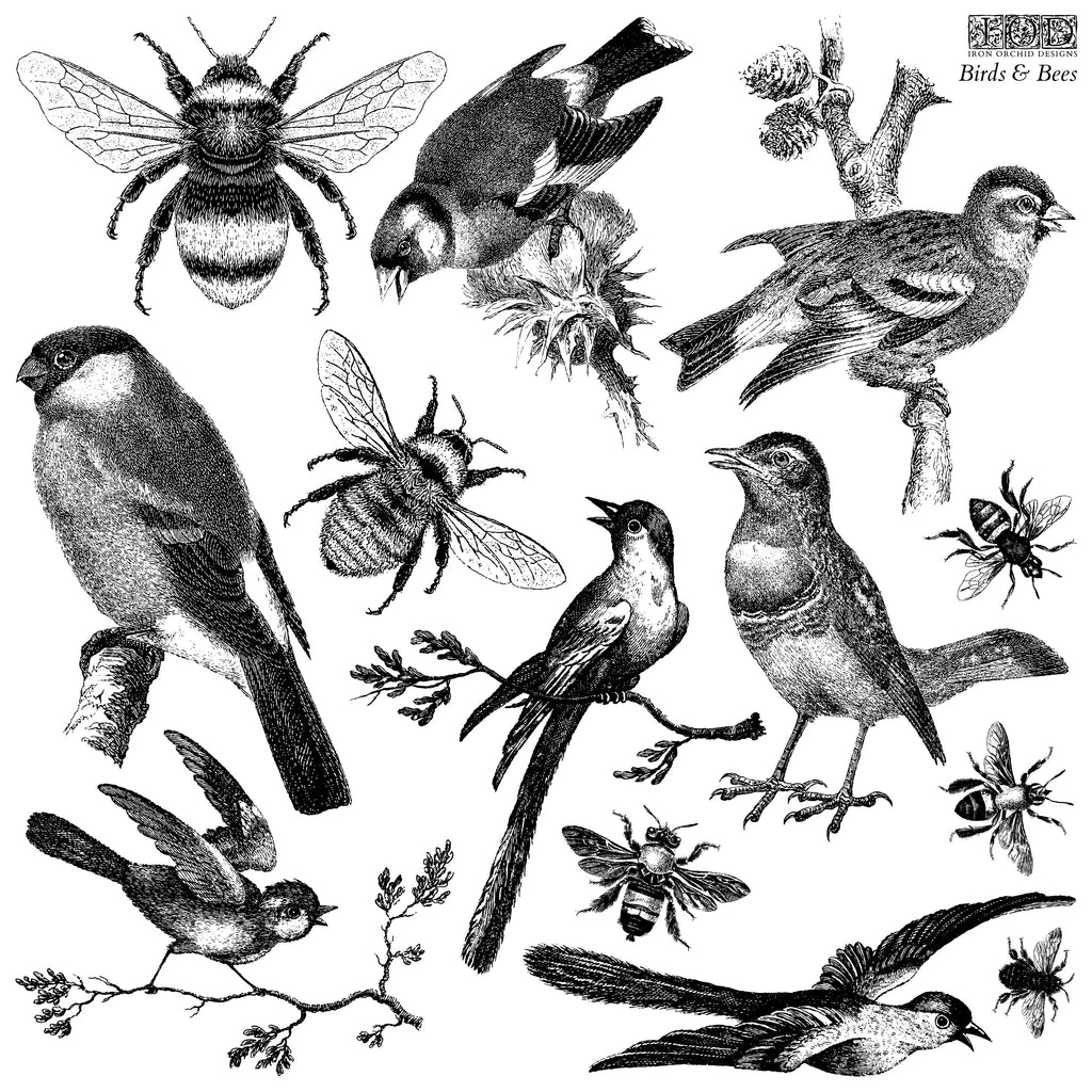 Iron Orchid Designs Spring IOD 2023 Birds & Bees Decor Stamp 12 x 12