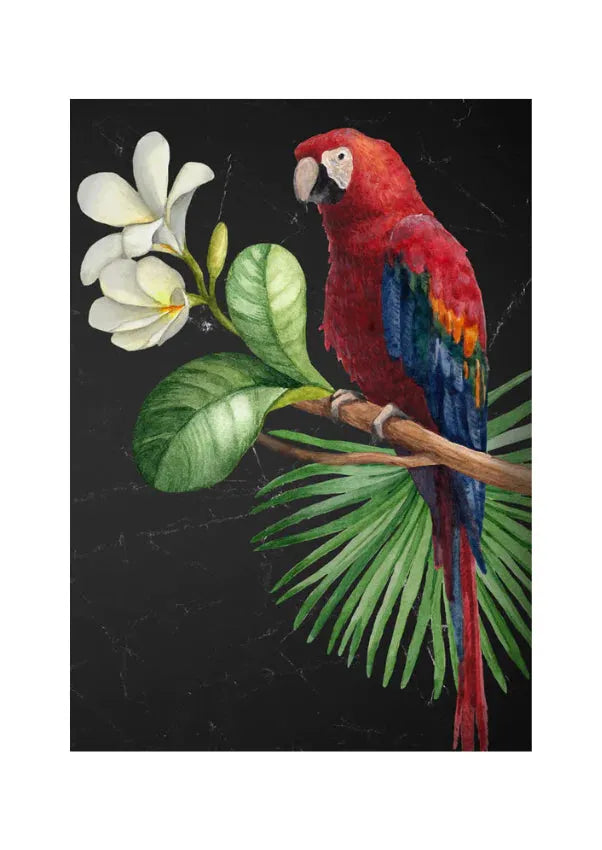 Mint by Michelle Decoupage paper - Parrots  -2 sizes - BluebirdMercantile